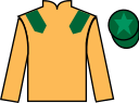 jockey silks