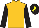 jockey silks