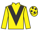 jockey silks