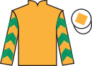 jockey silks