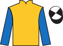 Jockey silks for Mulinas