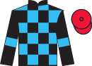 Jockey silks for Division Day