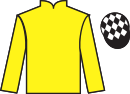 Jockey silks for Battle Borne (IRE)