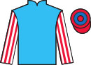Jockey silks for Nuptown Girl