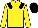 Jockey silks for Lady Dora Mae (IRE)