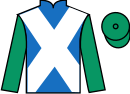 Jockey silks for Vizija