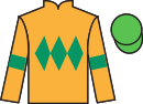 Jockey silks for Wishful Wings (IRE)