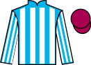 Jockey silks for Dwight K Schrute