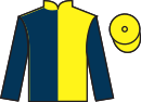 Jockey silks for Seatoit (IRE)
