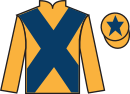 Jockey silks for Pottersmattyeeehaa
