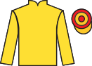 jockey silks