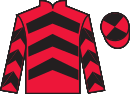 jockey silks