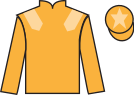 jockey silks