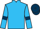 Jockey silks for Carlenrig (IRE)