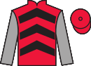 Jockey silks for Lavida Adiva (IRE)