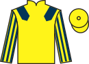 Jockey silks for Maple