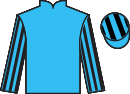 Jockey silks for Noss Mayo