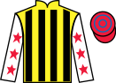 Jockey silks for Ruby Red Gove