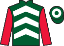 Jockey silks for Xcitations