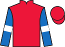 Jockey silks for Lucky One (FR)