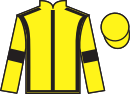 jockey silks