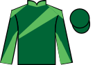 jockey silks