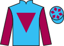 jockey silks