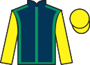 Jockey silks for Patton (IRE)