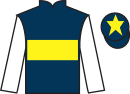 Jockey silks for Vienna Storm