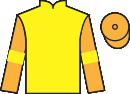 jockey silks