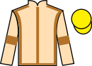 jockey silks
