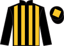 jockey silks