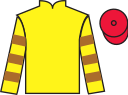 jockey silks
