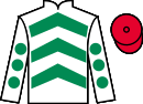 Jockey silks for Good To Be Alive (IRE)