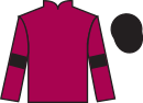 Jockey silks for Dotties Star