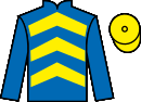 Jockey silks for Doctor Du Mesnil (FR)