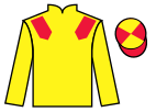 Jockey silks for Cari Bay