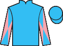 Jockey silks for Welljudged