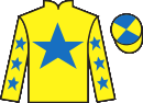 jockey silks