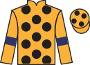 jockey silks