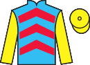jockey silks