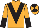 jockey silks
