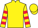 jockey silks