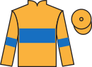 jockey silks