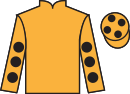 jockey silks