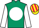 Jockey silks for Springboard (IRE)