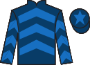 Jockey silks for Pitwood Road