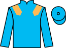 Jockey silks for Saffron Dandy (IRE)