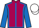 Jockey silks for Flight Plan