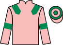 Jockey silks for Tiger Crusade (FR)
